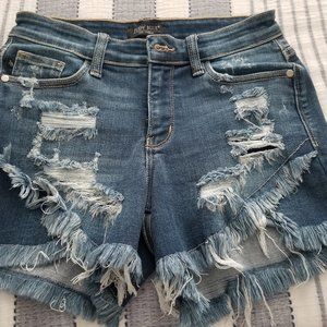 Judy Blue Distressed Shorts
